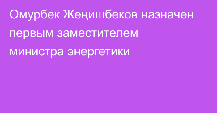 Омурбек Жеңишбеков назначен первым заместителем министра энергетики