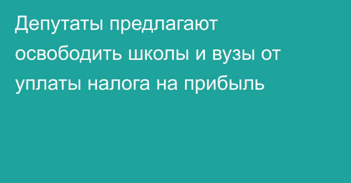 Депутаты предлагают освободить школы и вузы от уплаты налога на прибыль