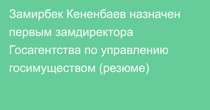 Замирбек Кененбаев назначен первым замдиректора Госагентства по управлению госимуществом (резюме)