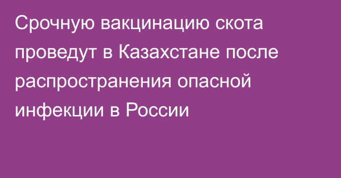 Срочную вакцинацию скота проведут в Казахстане после распространения опасной инфекции в России