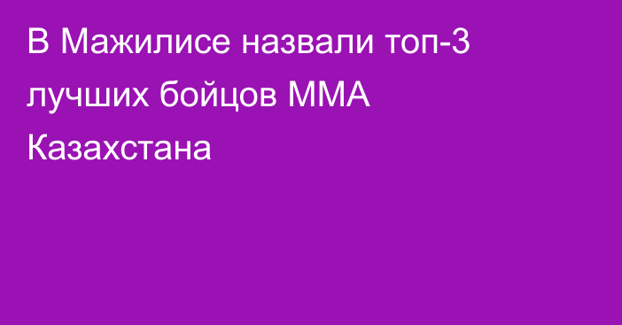 В Мажилисе назвали топ-3 лучших бойцов ММА Казахстана