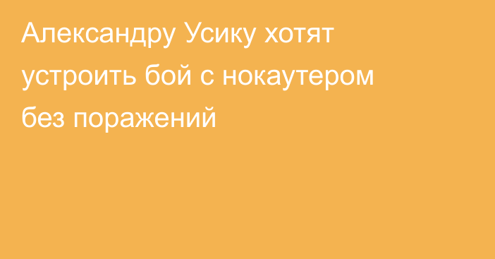 Александру Усику хотят устроить бой с нокаутером без поражений