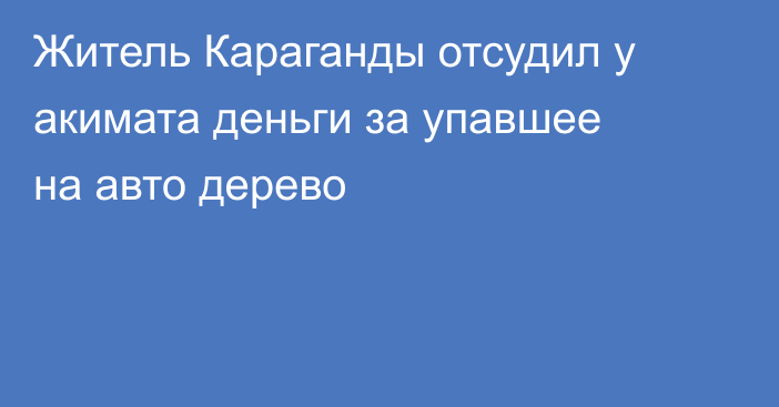 Житель Караганды отсудил у акимата деньги за упавшее на авто дерево