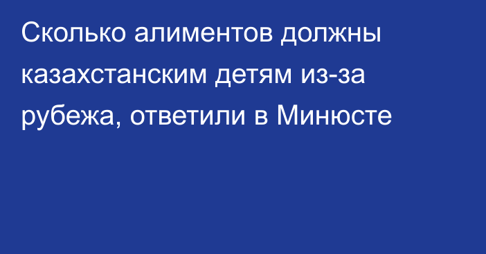 Сколько алиментов должны казахстанским детям из-за рубежа, ответили в Минюсте