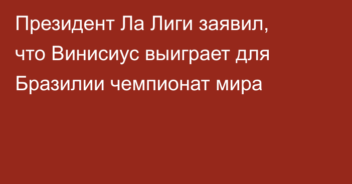 Президент Ла Лиги заявил, что Винисиус выиграет для Бразилии чемпионат мира