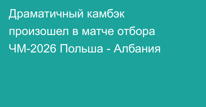 Драматичный камбэк произошел в матче отбора ЧМ-2026 Польша - Албания