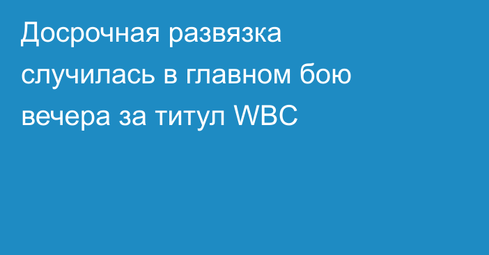 Досрочная развязка случилась в главном бою вечера за титул WBC