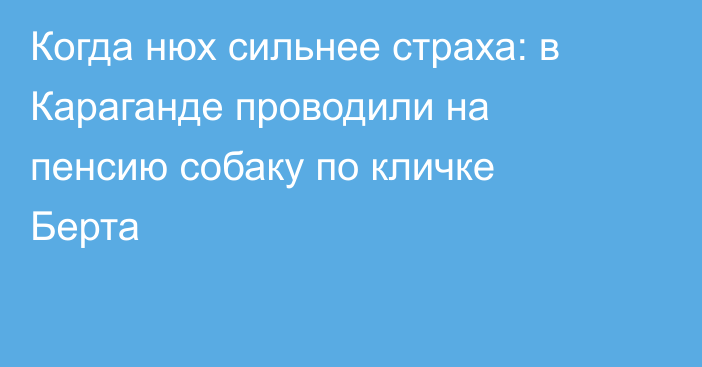 Когда нюх сильнее страха: в Караганде проводили на пенсию собаку по кличке Берта