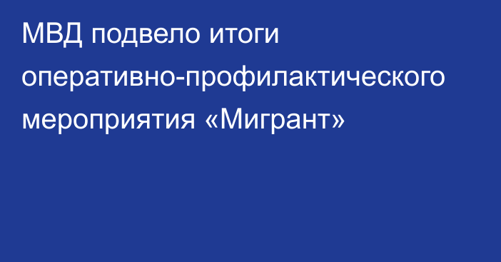 МВД подвело итоги оперативно-профилактического мероприятия «Мигрант»