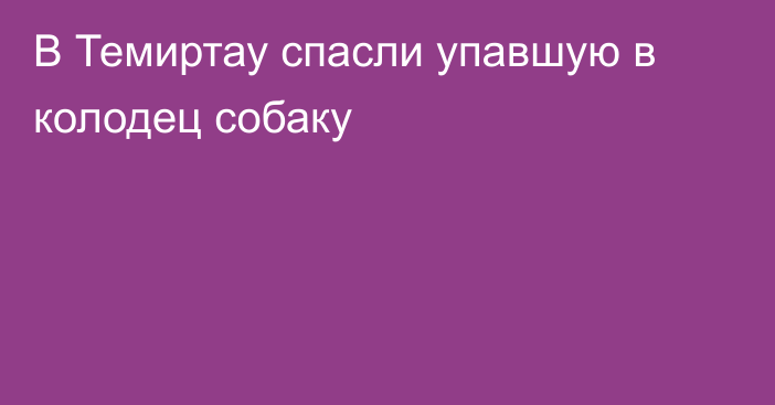 В Темиртау спасли упавшую в колодец собаку