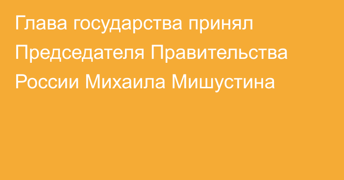 Глава государства принял  Председателя Правительства России Михаила Мишустина