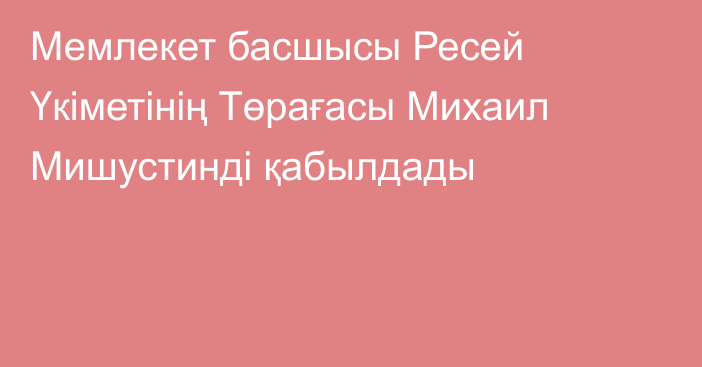 Мемлекет басшысы Ресей Үкіметінің Төрағасы Михаил Мишустинді қабылдады
