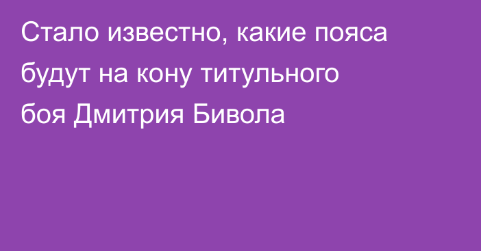 Стало известно, какие пояса будут на кону титульного боя Дмитрия Бивола