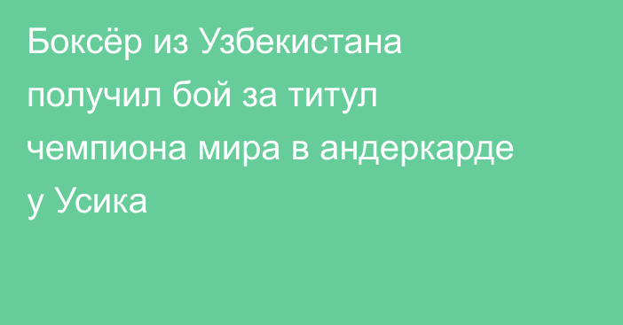 Боксёр из Узбекистана получил бой за титул чемпиона мира в андеркарде у Усика