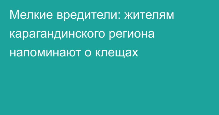 Мелкие вредители: жителям карагандинского региона напоминают о клещах