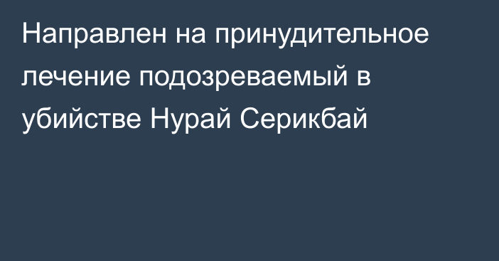 Направлен на принудительное лечение подозреваемый в убийстве Нурай Серикбай