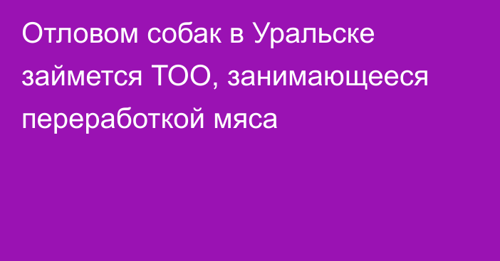 Отловом собак в Уральске займется ТОО, занимающееся переработкой мяса