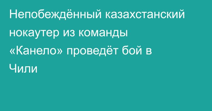 Непобеждённый казахстанский нокаутер из команды «Канело» проведёт бой в Чили