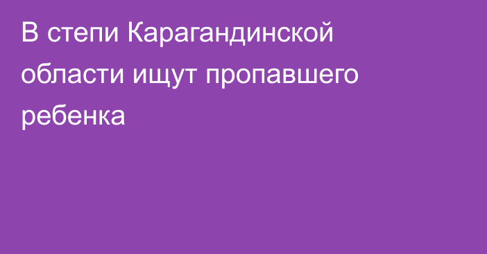 В степи Карагандинской области ищут пропавшего ребенка