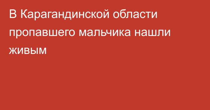 В Карагандинской области пропавшего мальчика нашли живым