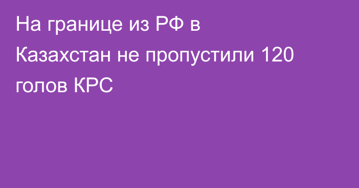 На границе из РФ в Казахстан не пропустили 120 голов КРС