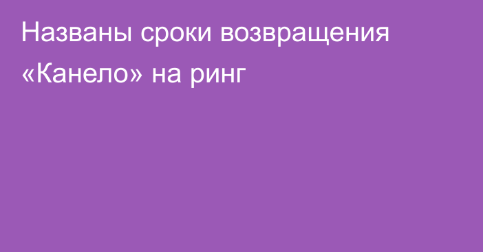 Названы сроки возвращения «Канело» на ринг