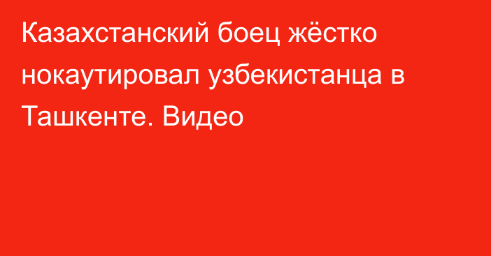 Казахстанский боец жёстко нокаутировал узбекистанца в Ташкенте. Видео