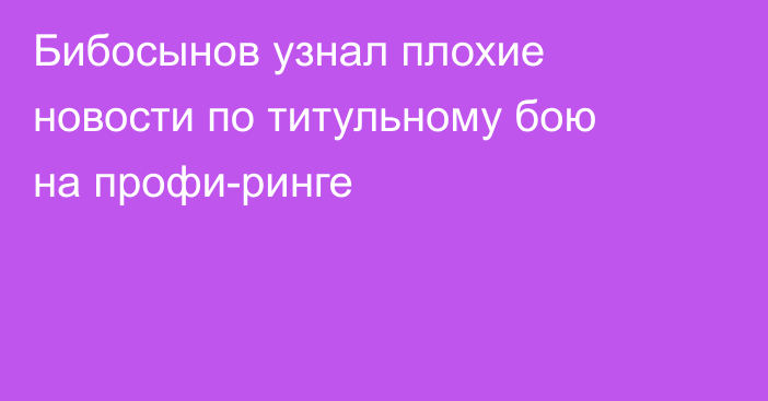 Бибосынов узнал плохие новости по титульному бою на профи-ринге