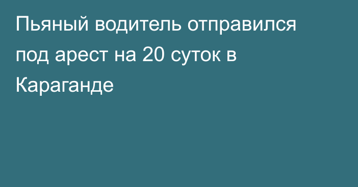 Пьяный водитель отправился под арест на 20 суток в Караганде