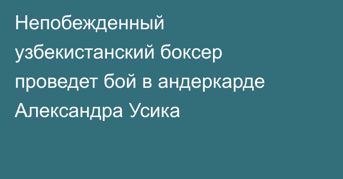 Непобежденный узбекистанский боксер проведет бой в андеркарде Александра Усика