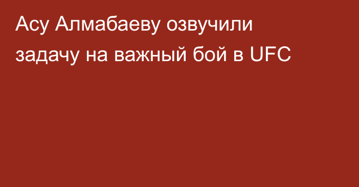 Асу Алмабаеву озвучили задачу на важный бой в UFC
