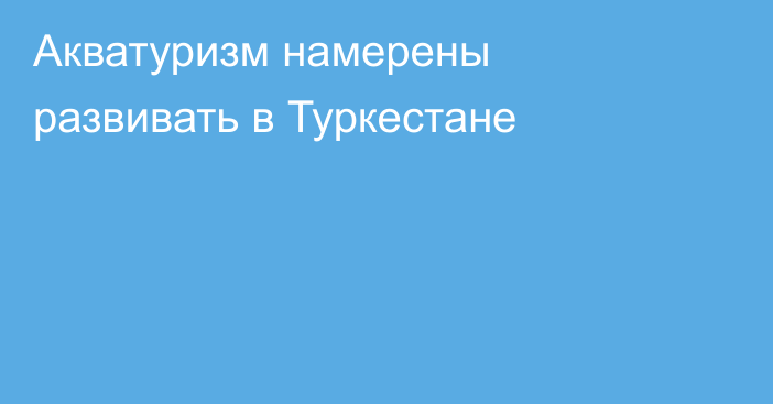 Акватуризм намерены развивать в Туркестане