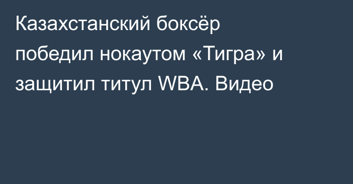 Казахстанский боксёр победил нокаутом «Тигра» и защитил титул WBA. Видео