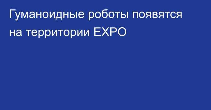 Гуманоидные роботы появятся на территории EXPO