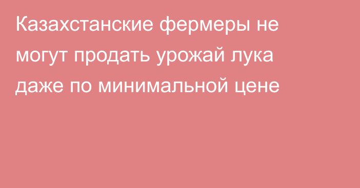 Казахстанские фермеры не могут продать урожай лука даже по минимальной цене