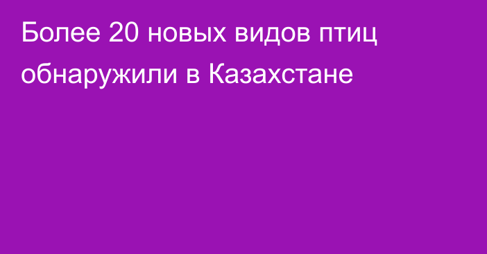 Более 20 новых видов птиц обнаружили в Казахстане