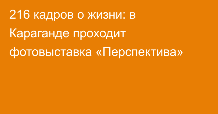 216 кадров о жизни: в Караганде проходит фотовыставка «Перспектива»