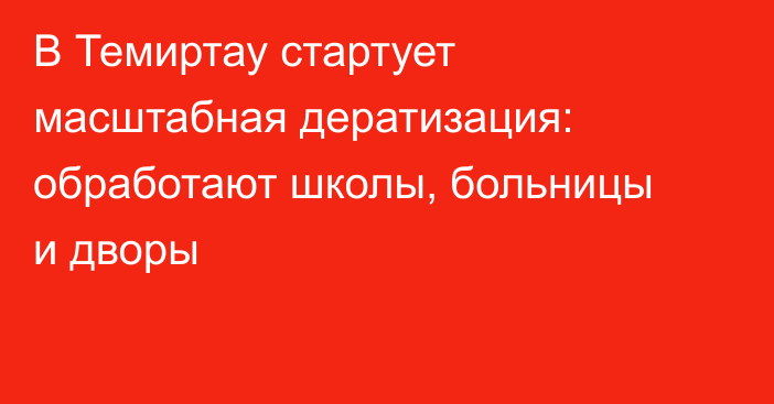 В Темиртау стартует масштабная дератизация: обработают школы, больницы и дворы