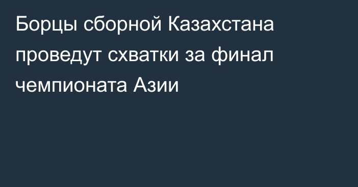 Борцы сборной Казахстана проведут схватки за финал чемпионата Азии