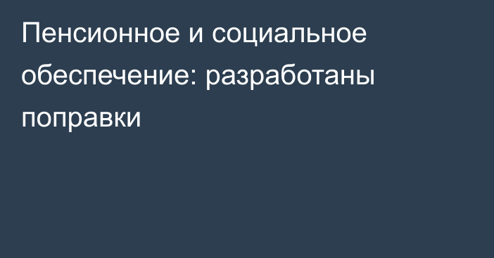 Пенсионное и социальное обеспечение: разработаны поправки