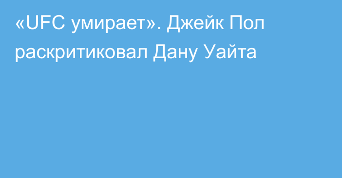 «UFC умирает». Джейк Пол раскритиковал Дану Уайта