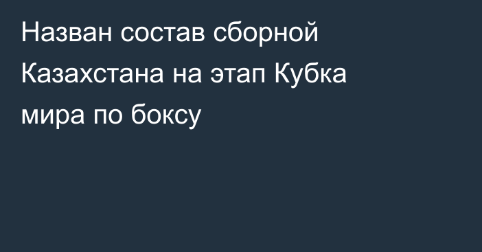 Назван состав сборной Казахстана на этап Кубка мира по боксу