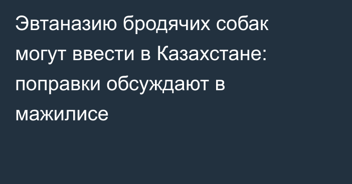 Эвтаназию бродячих собак могут ввести в Казахстане: поправки обсуждают в мажилисе