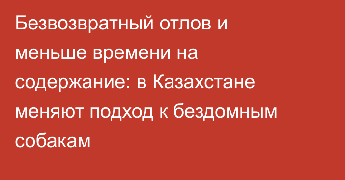 Безвозвратный отлов и меньше времени на содержание: в Казахстане меняют подход к бездомным собакам