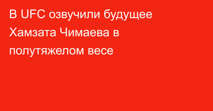 В UFC озвучили будущее Хамзата Чимаева в полутяжелом весе