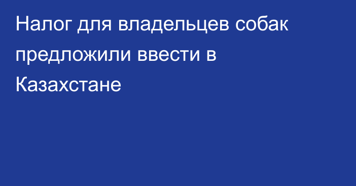 Налог для владельцев собак предложили ввести в Казахстане
