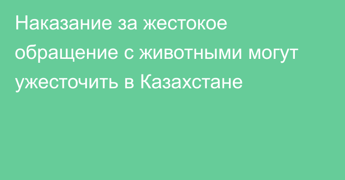 Наказание за жестокое обращение с животными могут ужесточить в Казахстане
