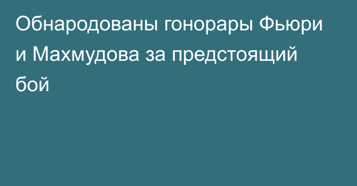Обнародованы гонорары Фьюри и Махмудова за предстоящий бой