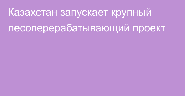 Казахстан запускает крупный лесоперерабатывающий проект