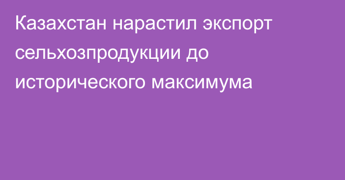 Казахстан нарастил экспорт сельхозпродукции до исторического максимума